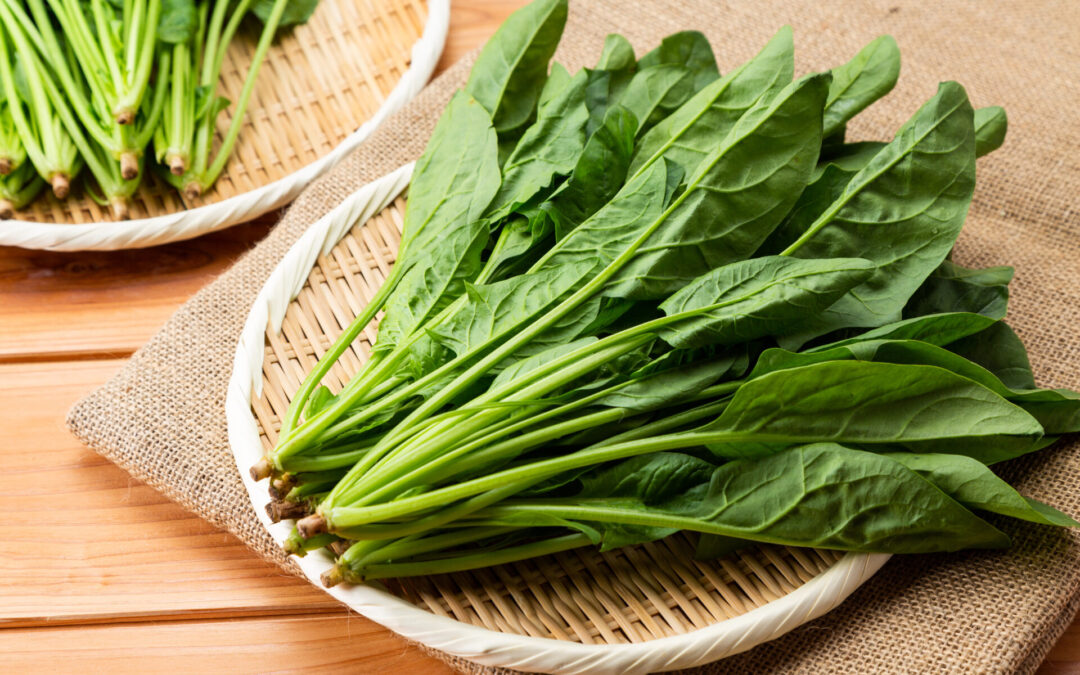 サイトを新しく作りました