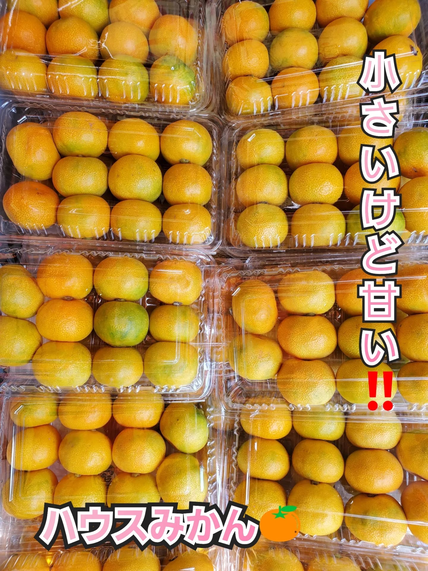 こんにちはまん菜です✌️