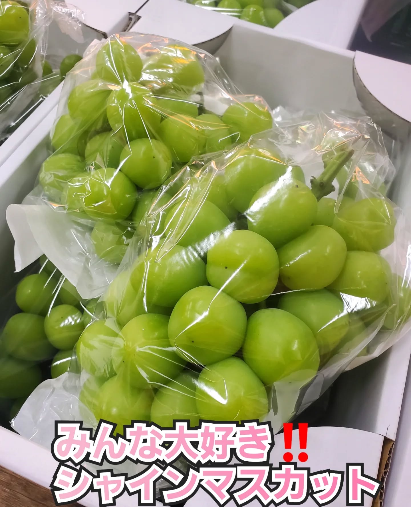 こんにちはまん菜です✌️