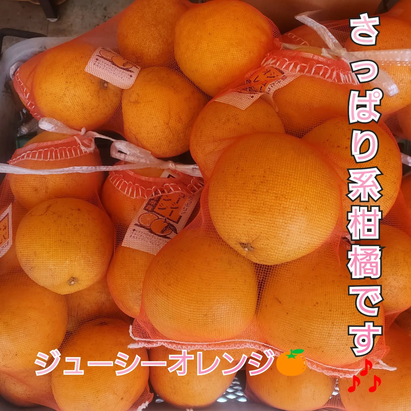 こんにちはまん菜です✌️