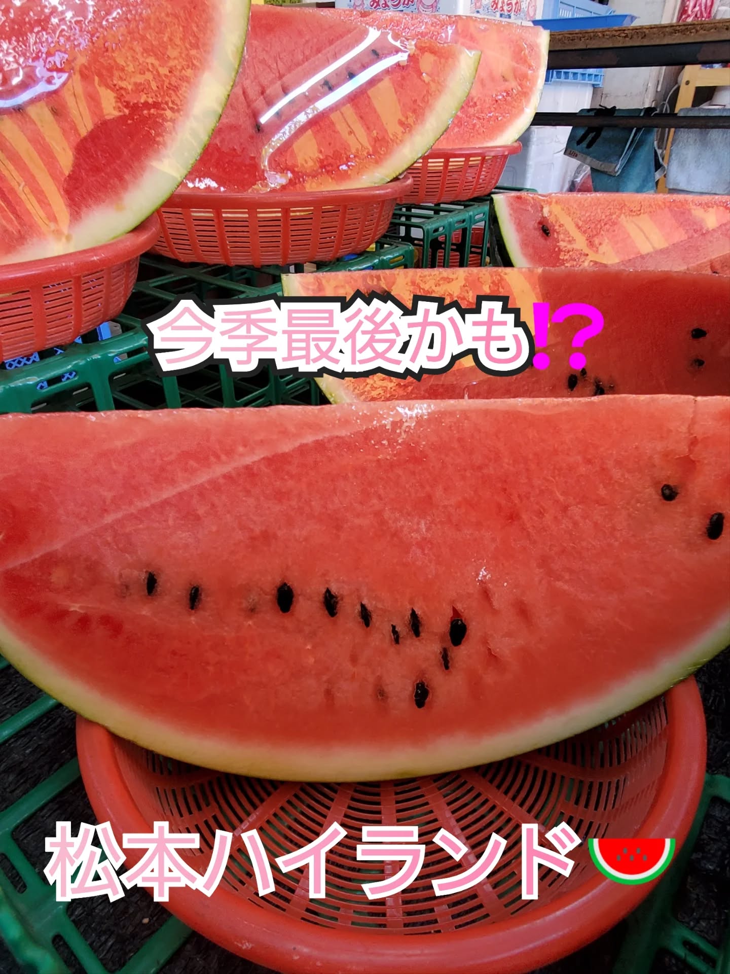 こんにちはまん菜です✌️