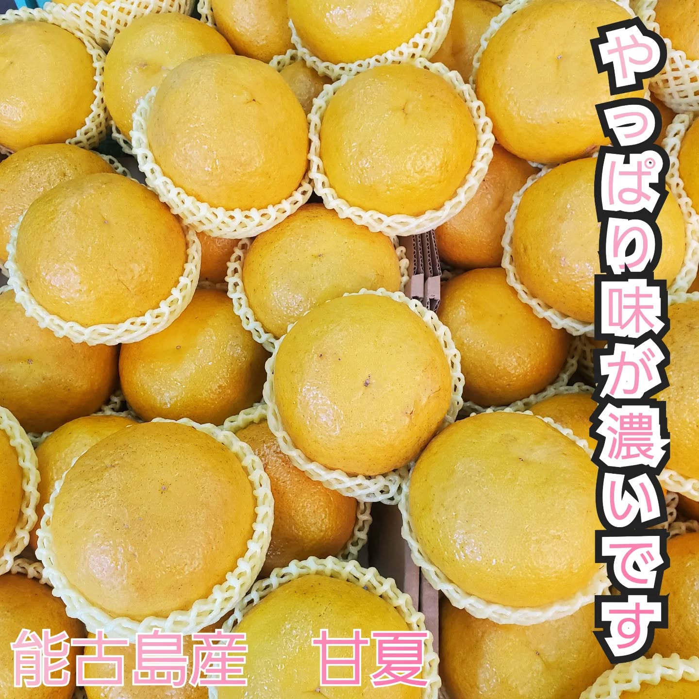 こんにちはまん菜です✌️