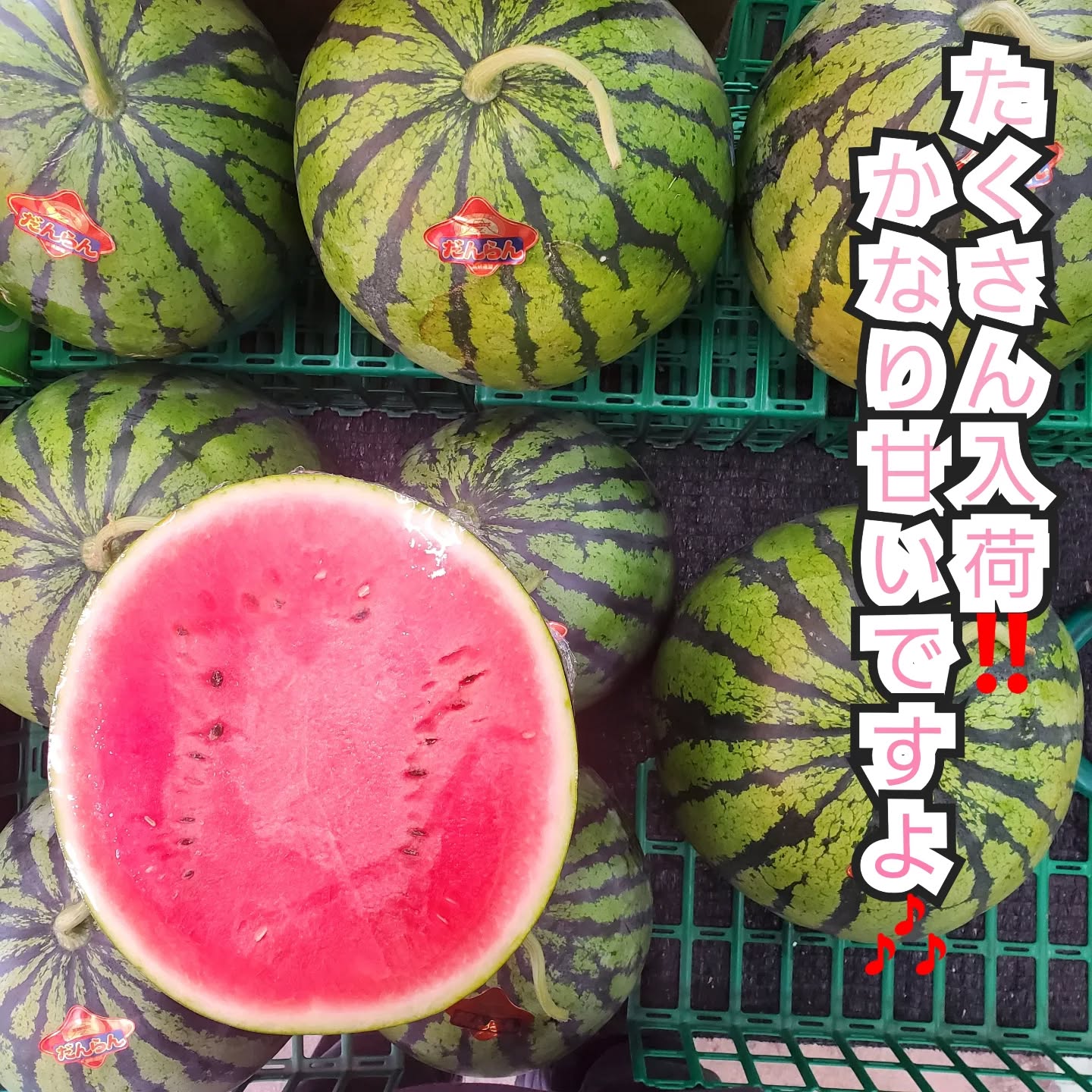 こんにちはまん菜です✌️