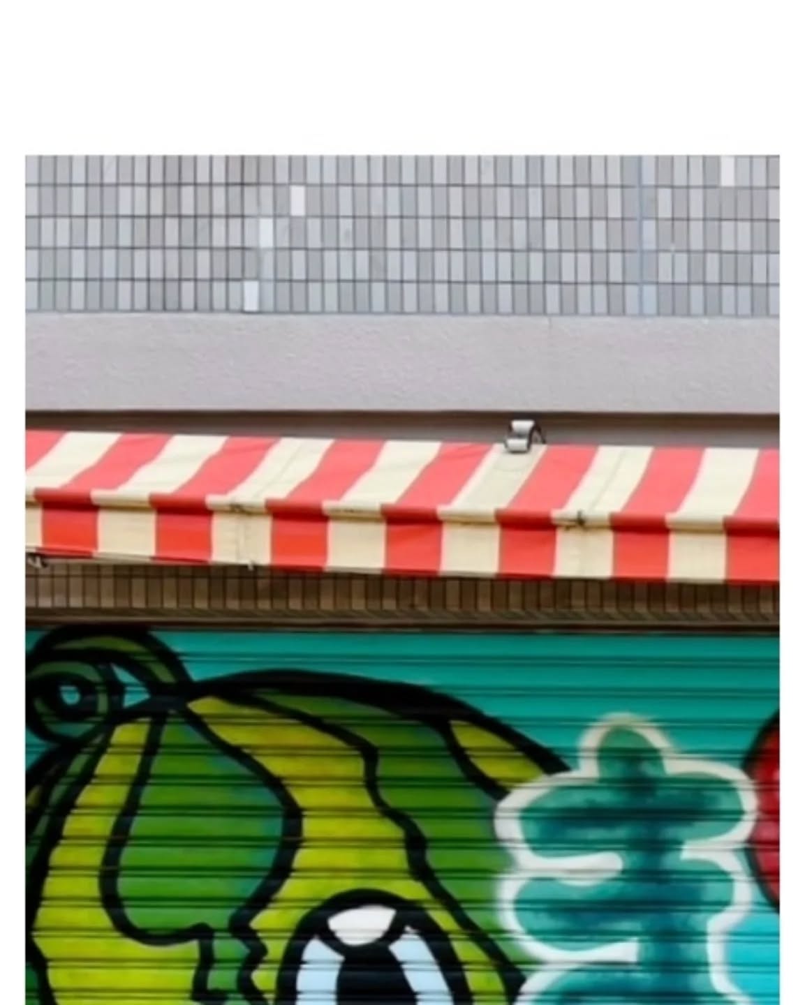 こんにちはまん菜です✌️