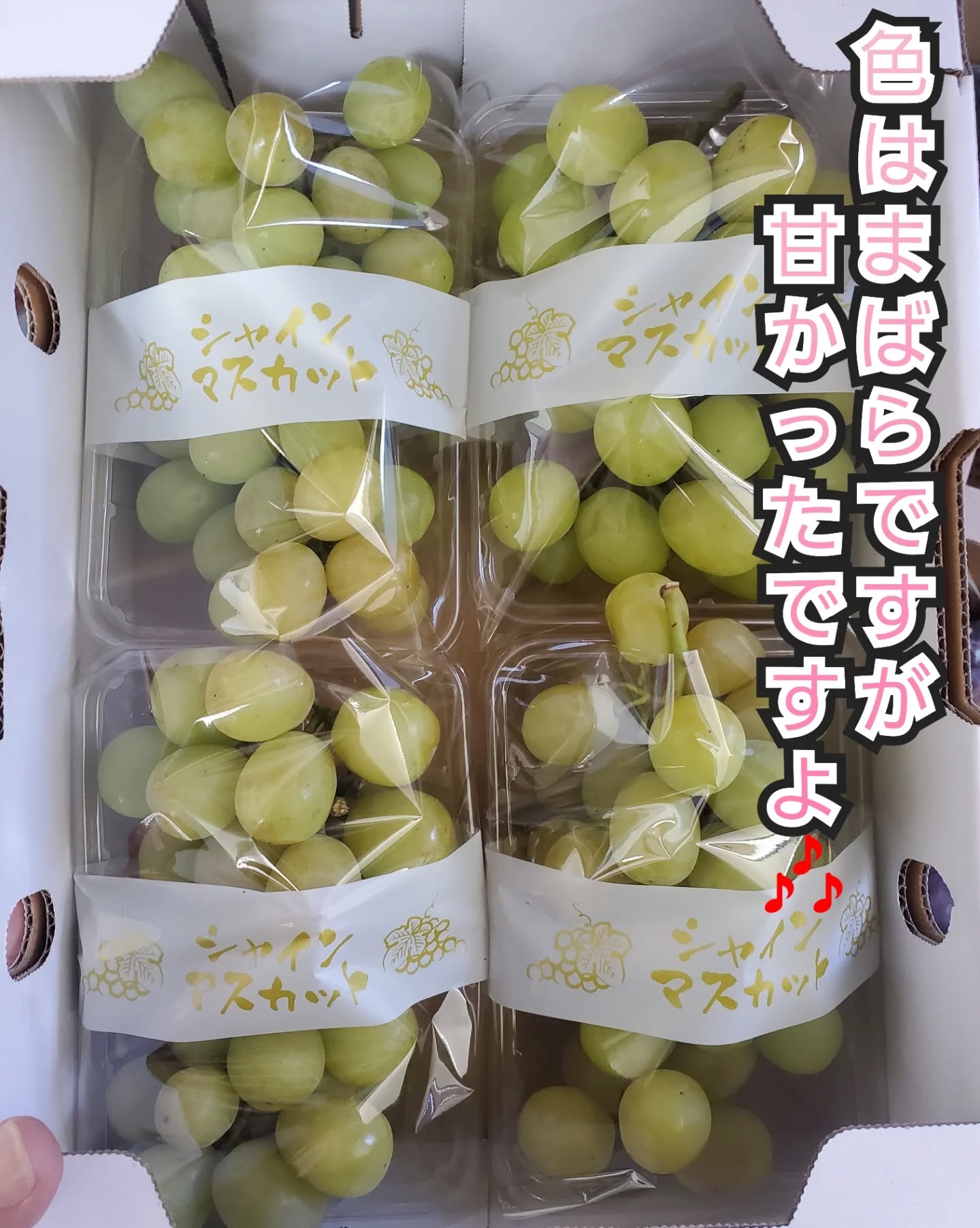 こんにちはまん菜です✌️