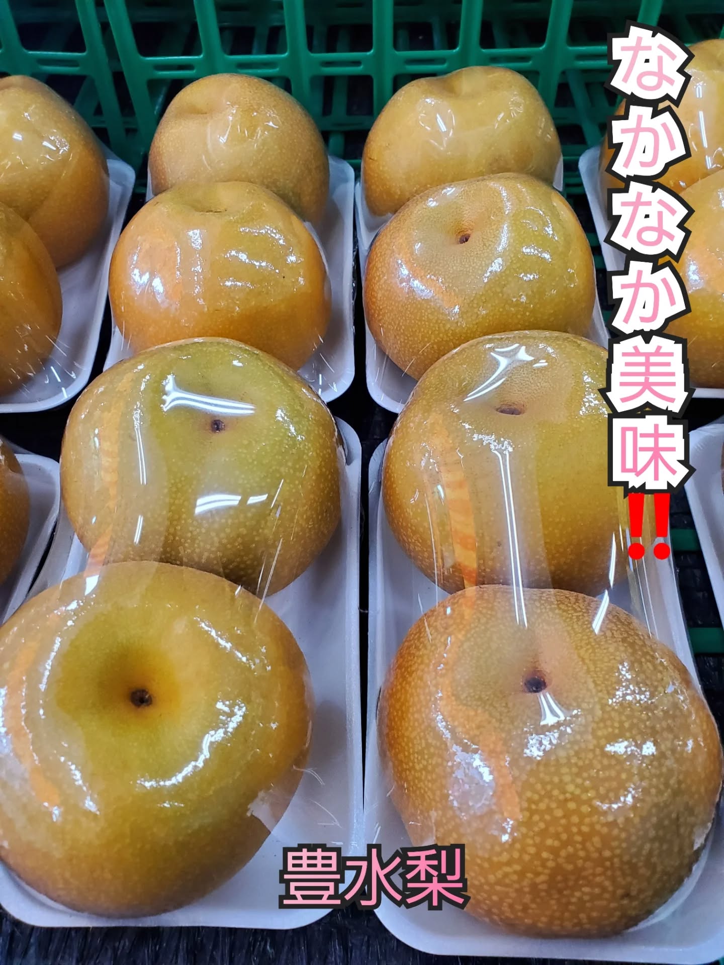 こんにちはまん菜です✌️