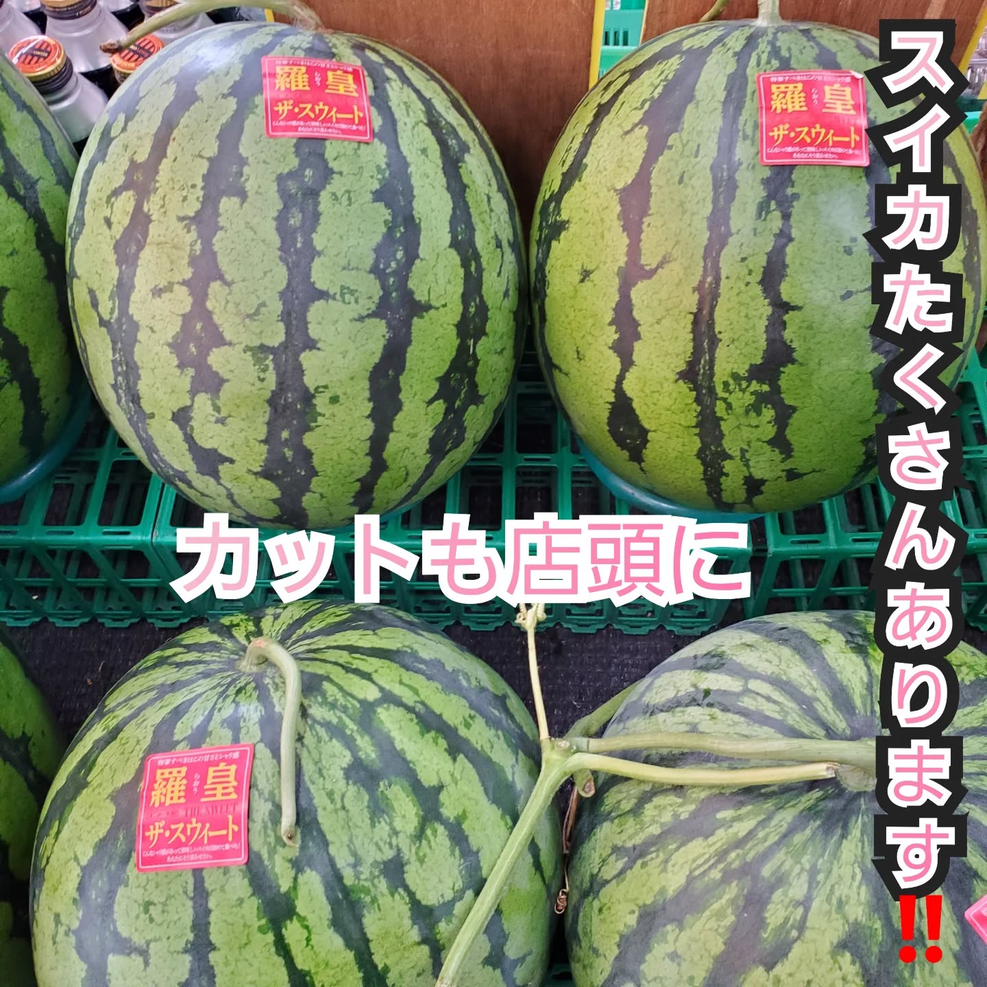 こんにちはまん菜です✌️