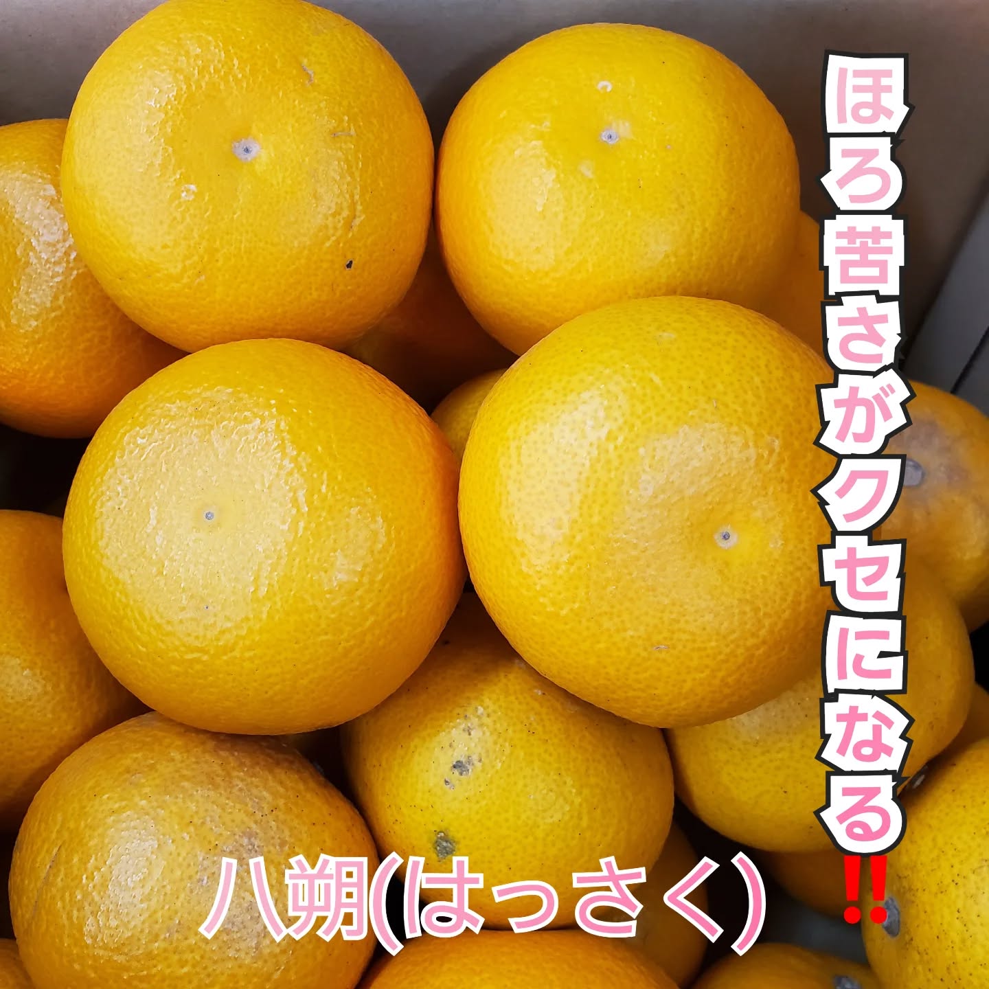 こんにちはまん菜です✌️