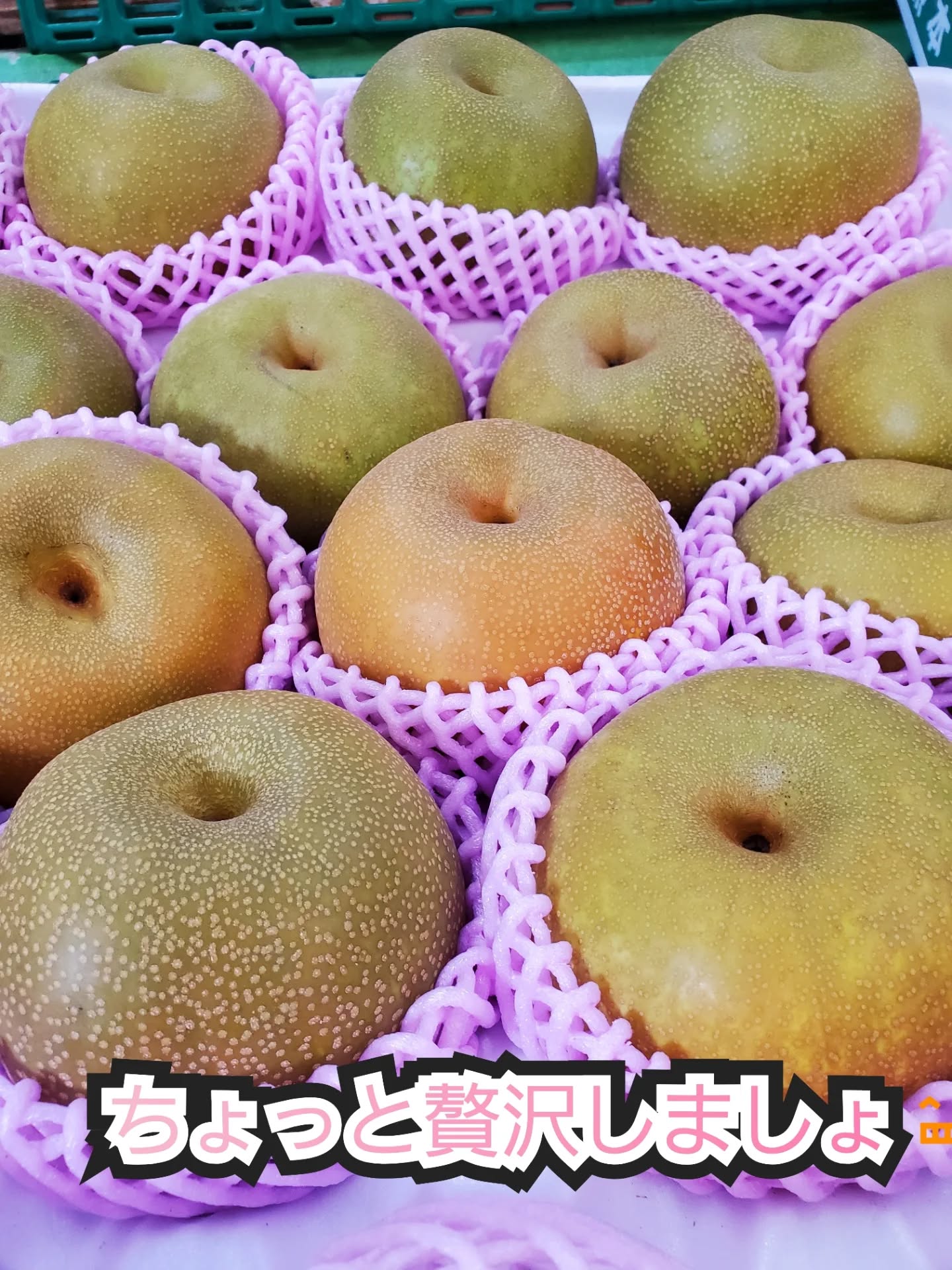 こんにちはまん菜です✌️