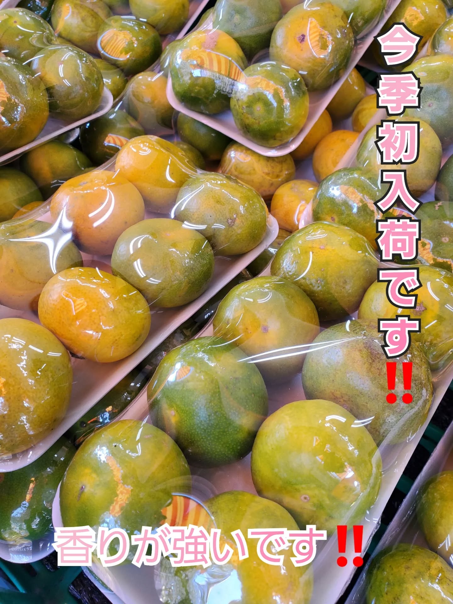 こんにちはまん菜です✌️