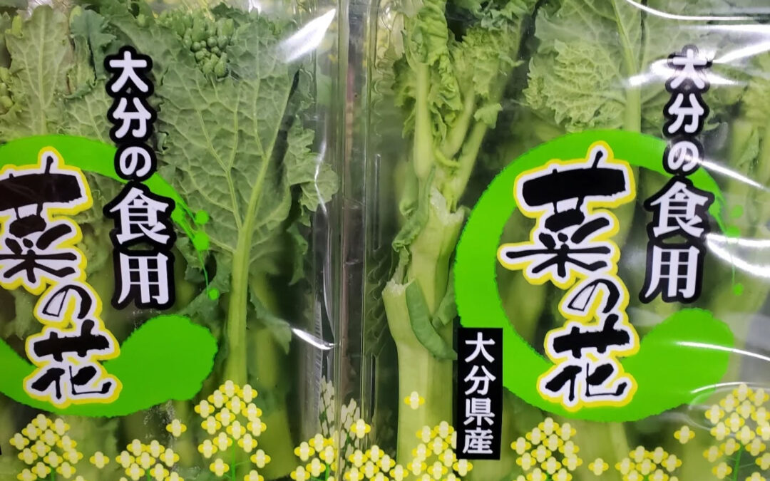 ２月のなりました！